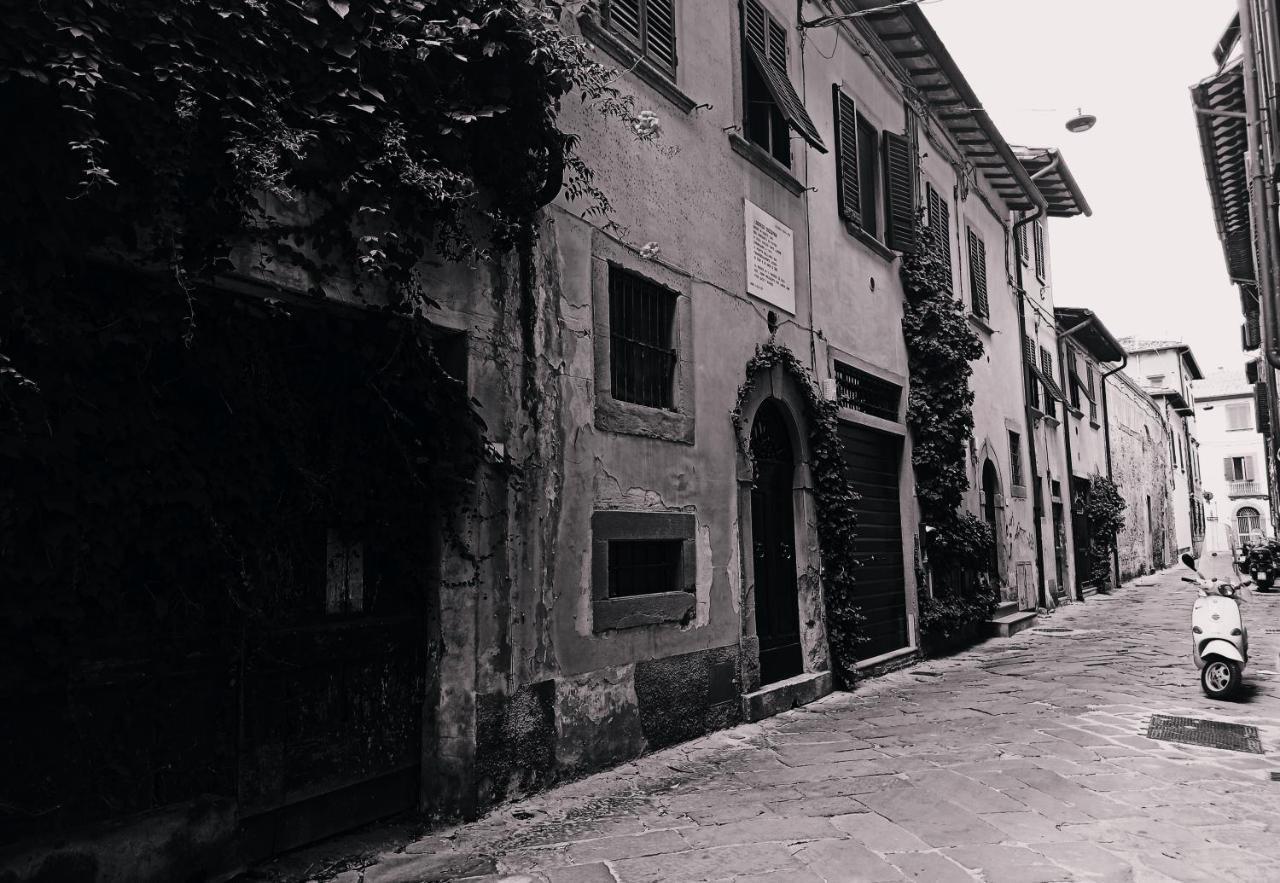 Dimora Coccapani Daire Pisa Dış mekan fotoğraf